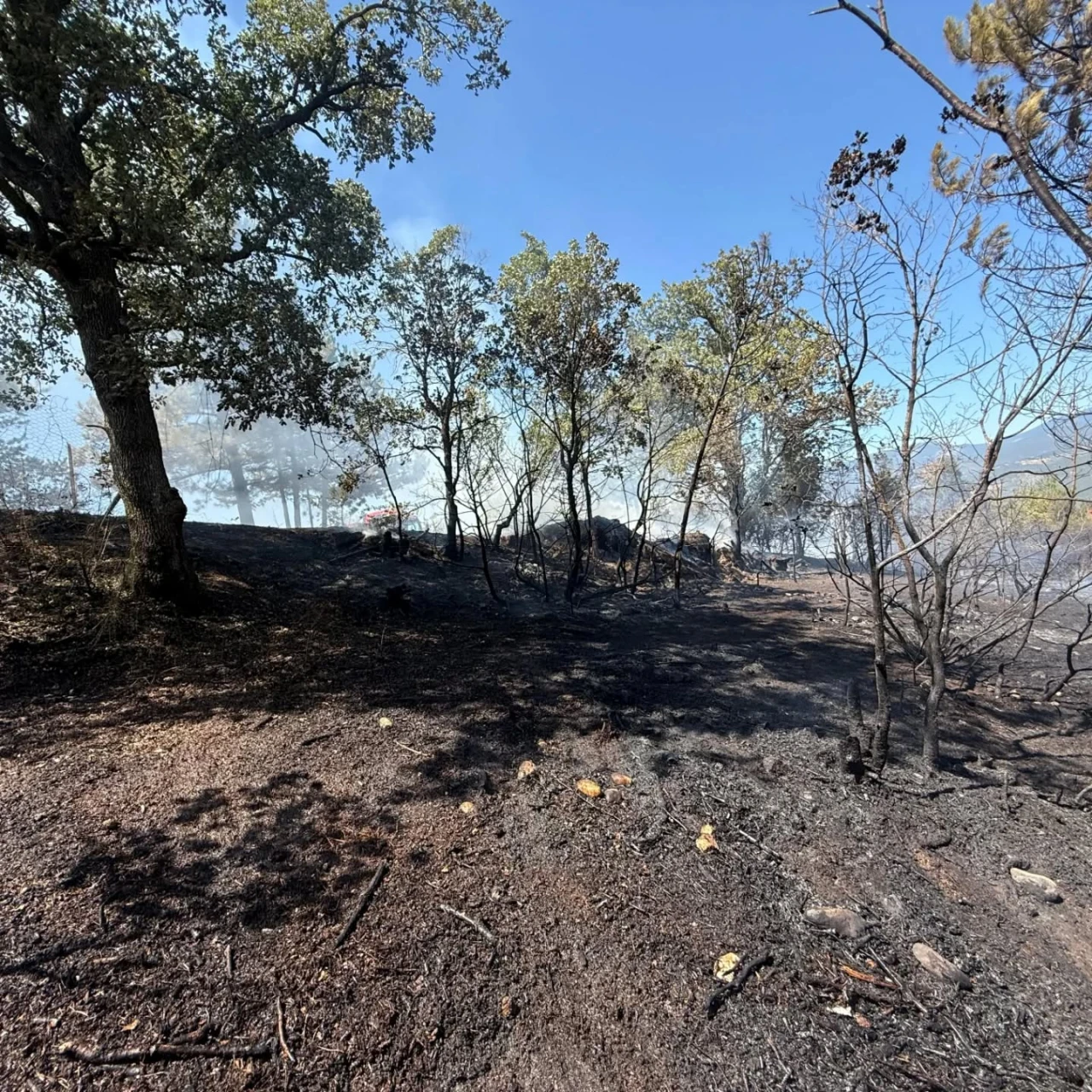 Hızlı Müdahale Yangını Söndürdü