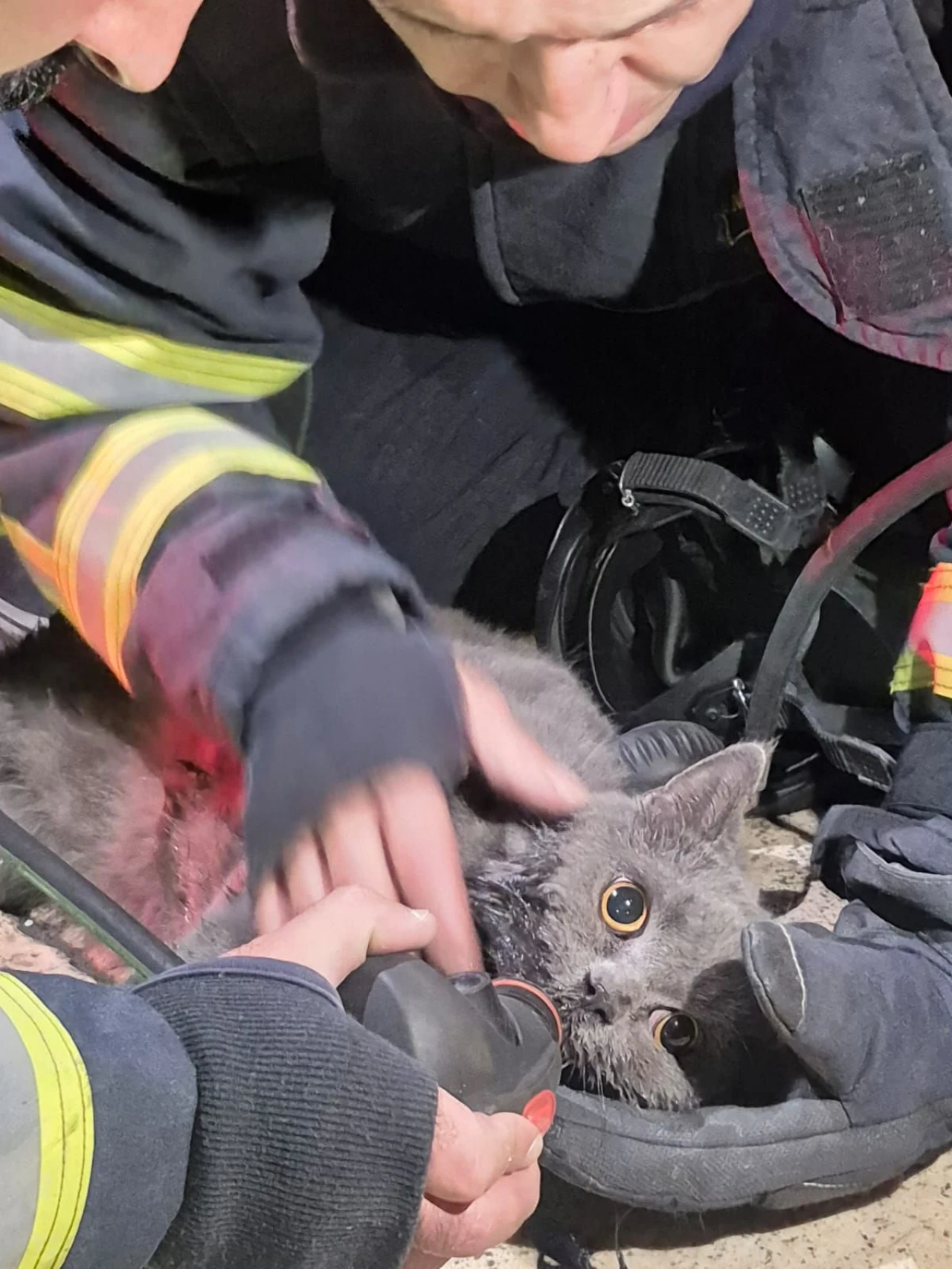 Ekiplerin Müdahalesi Hayata Döndürdü