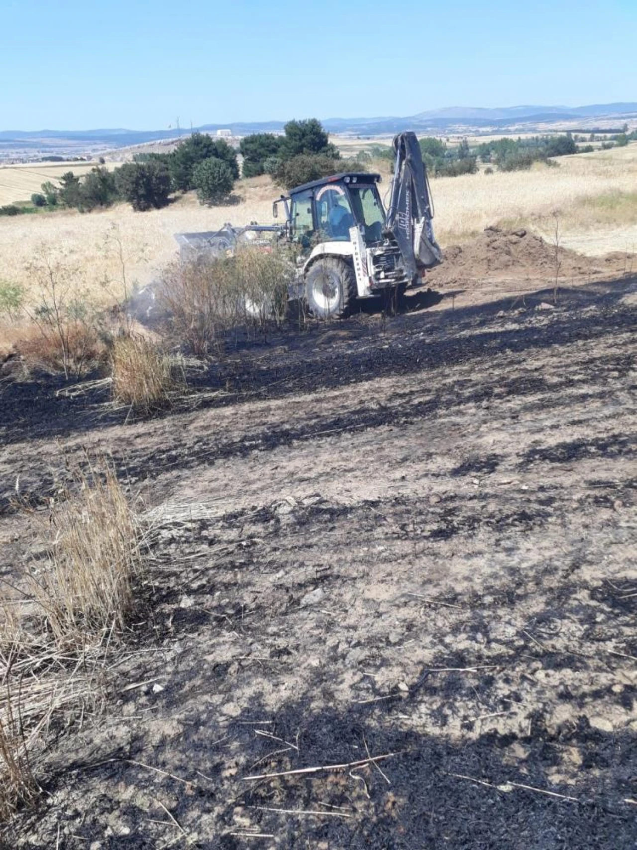 Kastamonu'da 15 Dönüm Buğday Tarlası Küle Döndü