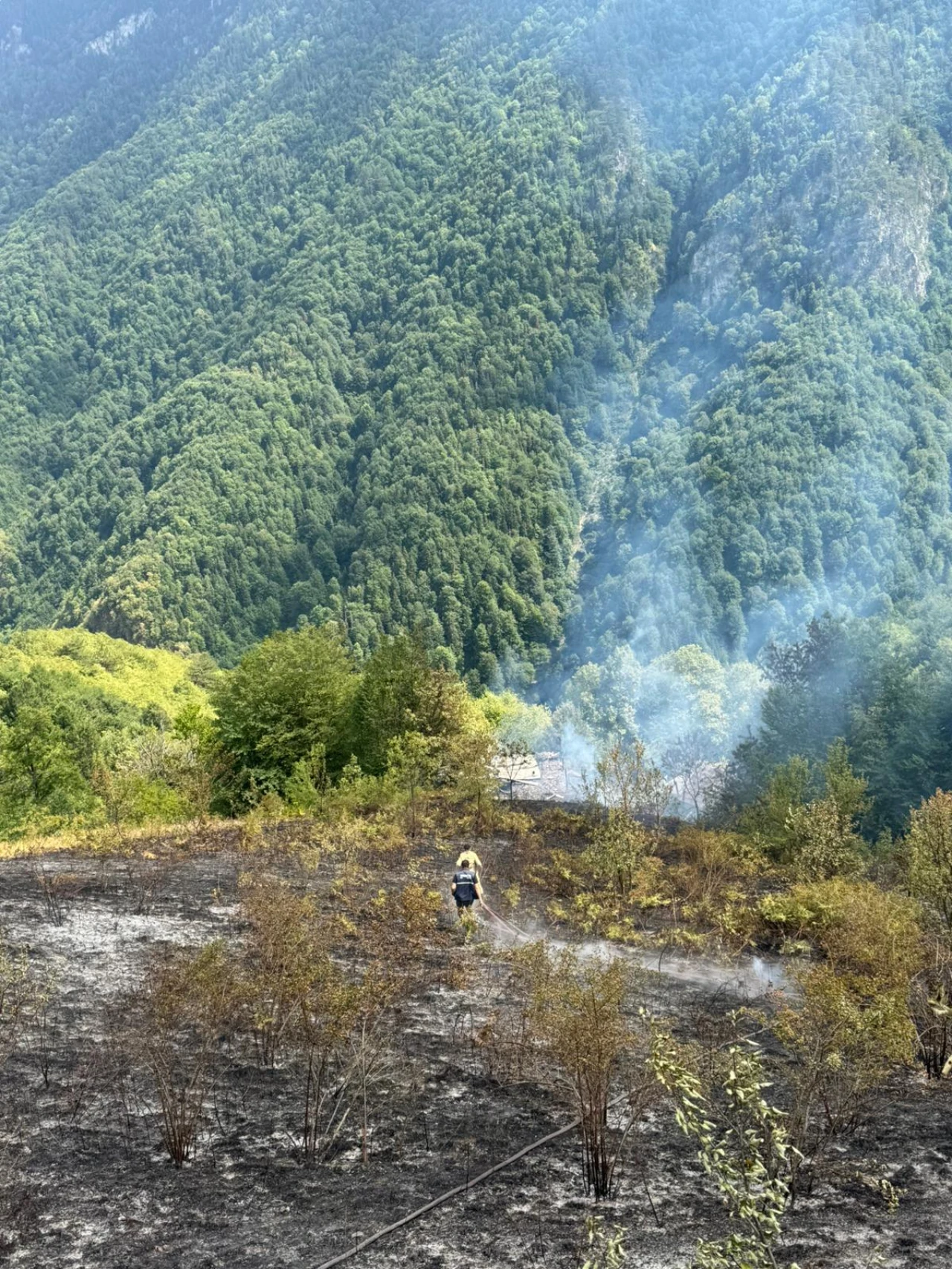 Kastamonu'da Orman Yangını!