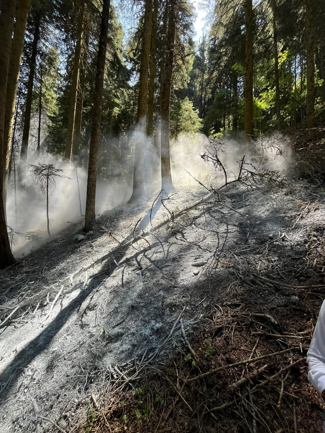 Azdavay'da Orman Yangını