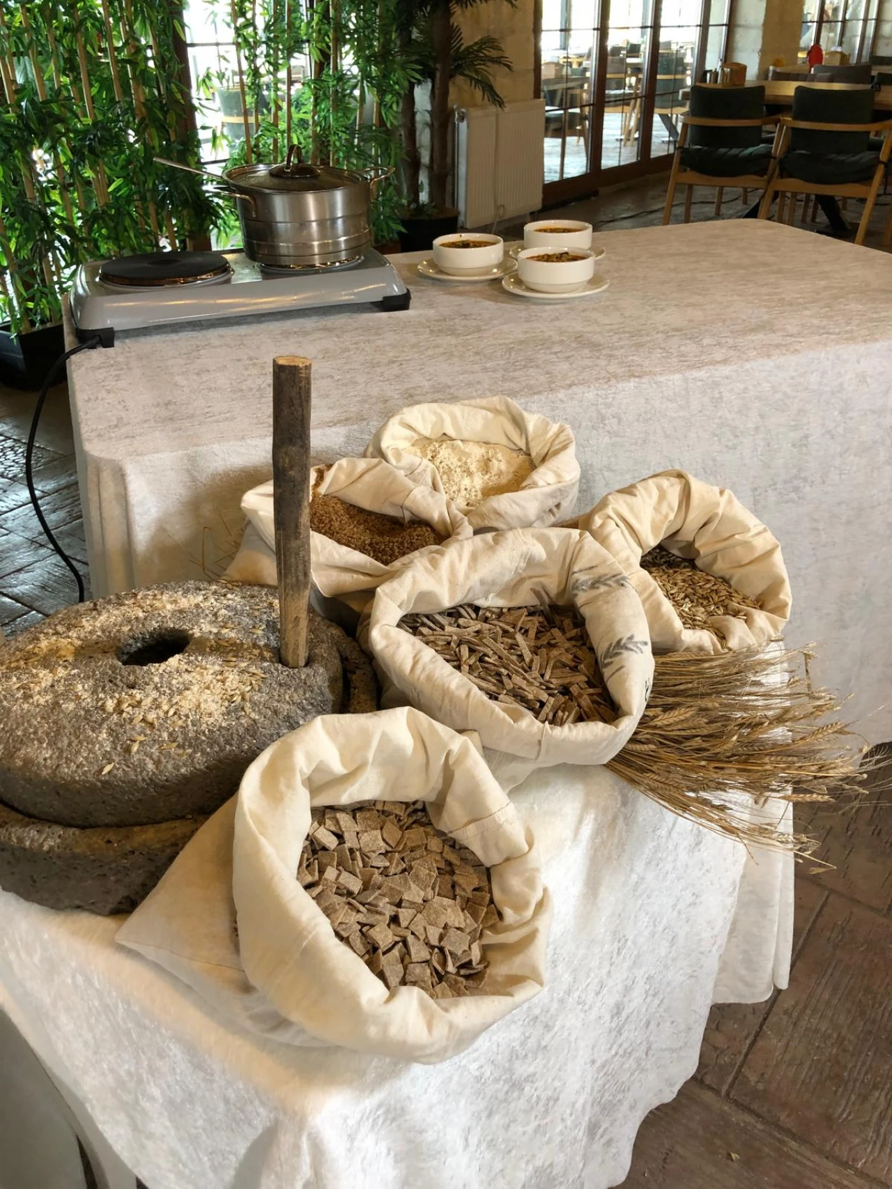 Ekşili Pilav, TGRT Haber'de Tanıtıldı