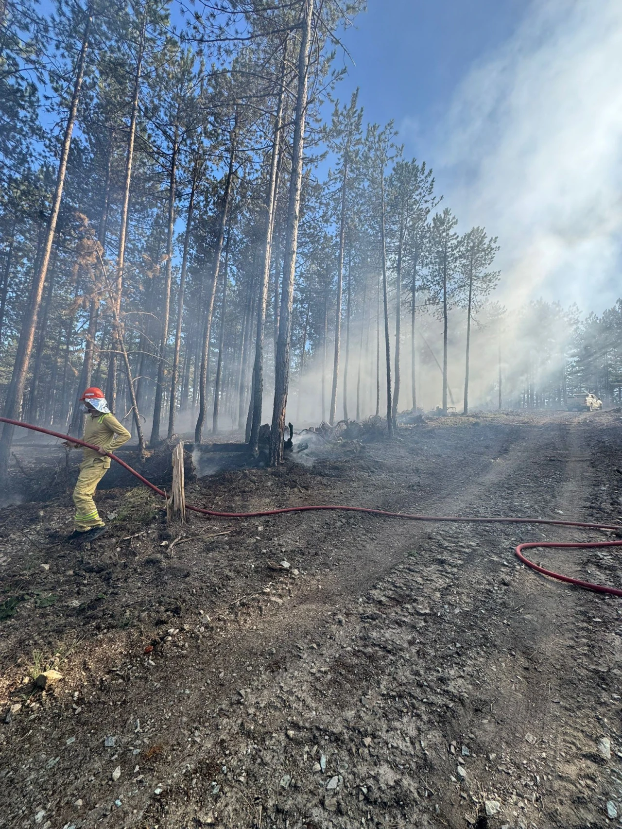 Hanönü'nde Orman Yangını!