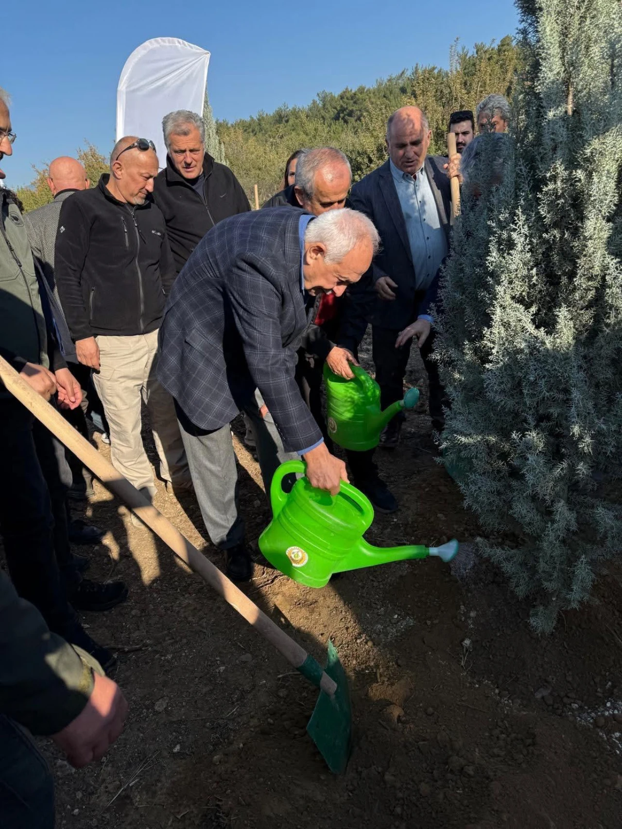 Şehit Şerife Bacı Hatıra Ormanı Kuruldu