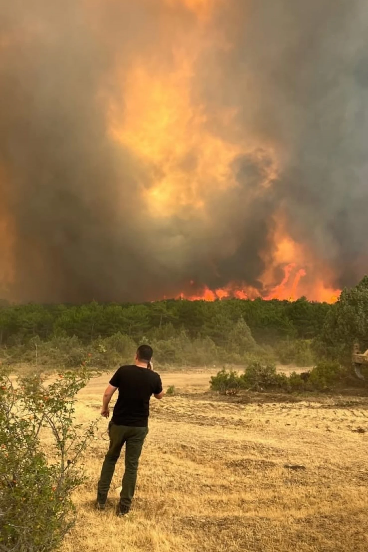 Türk Kızılay Yaraları Sarmak İçin Yangın Bölgesinde!