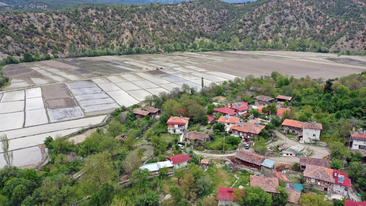 1926 Yılında İlk Kez Tosya'da Kuruldu, Ekim Mesaisi Başladı