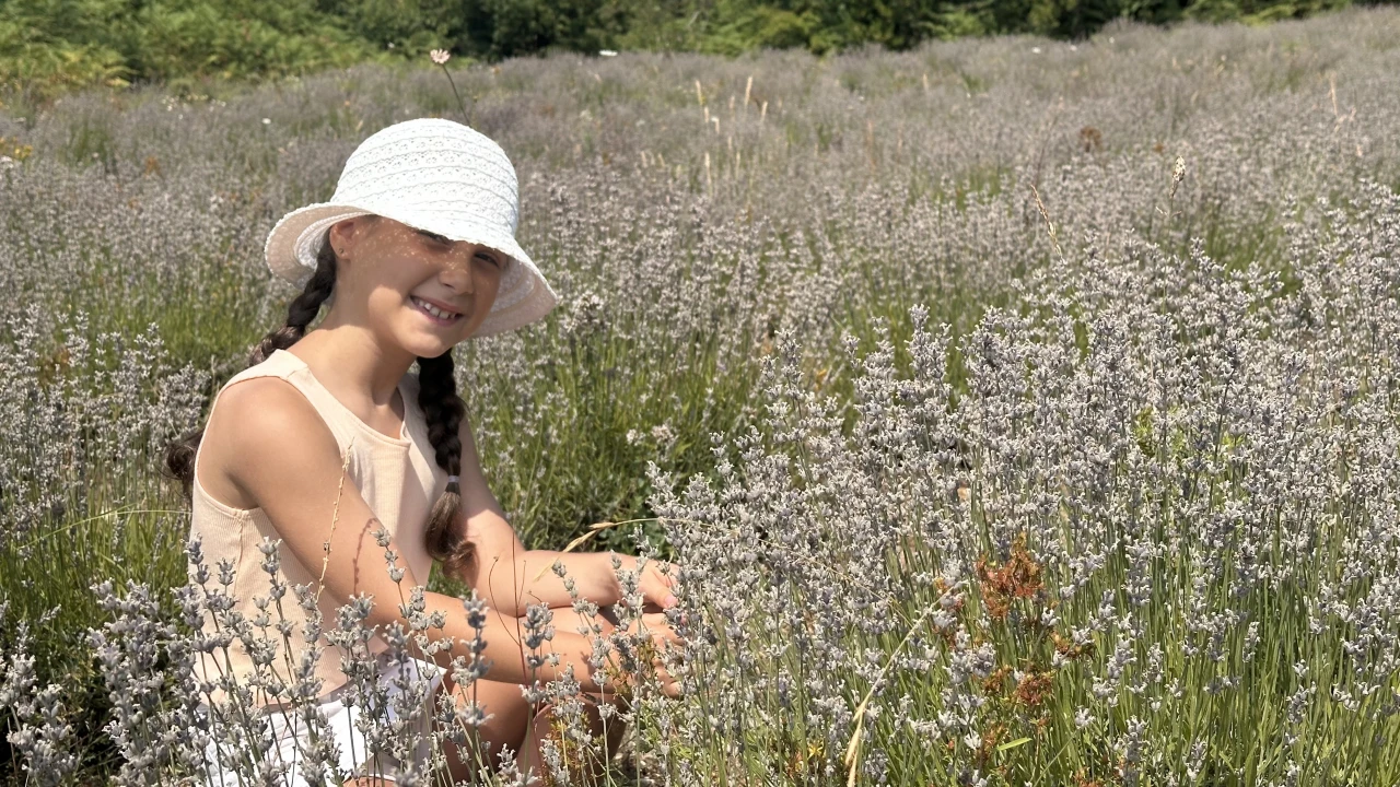Turizme Yeni Soluk: Önce Abana, Sonra Batı Karadeniz