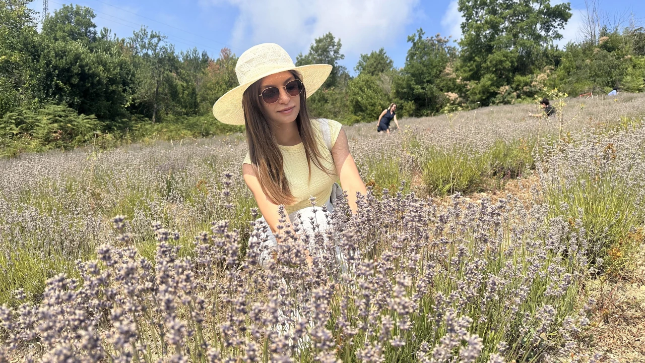 Turizme Yeni Soluk: Önce Abana, Sonra Batı Karadeniz