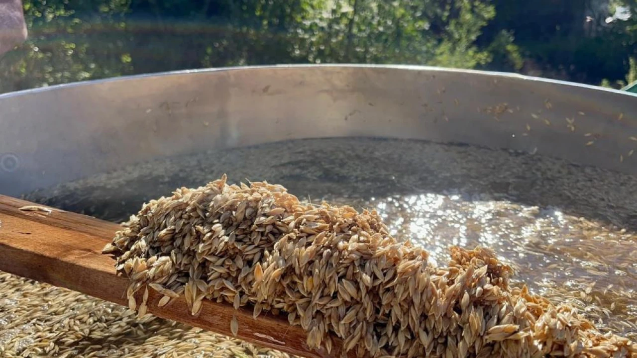 Atalarının İzinden Gidiyorlar