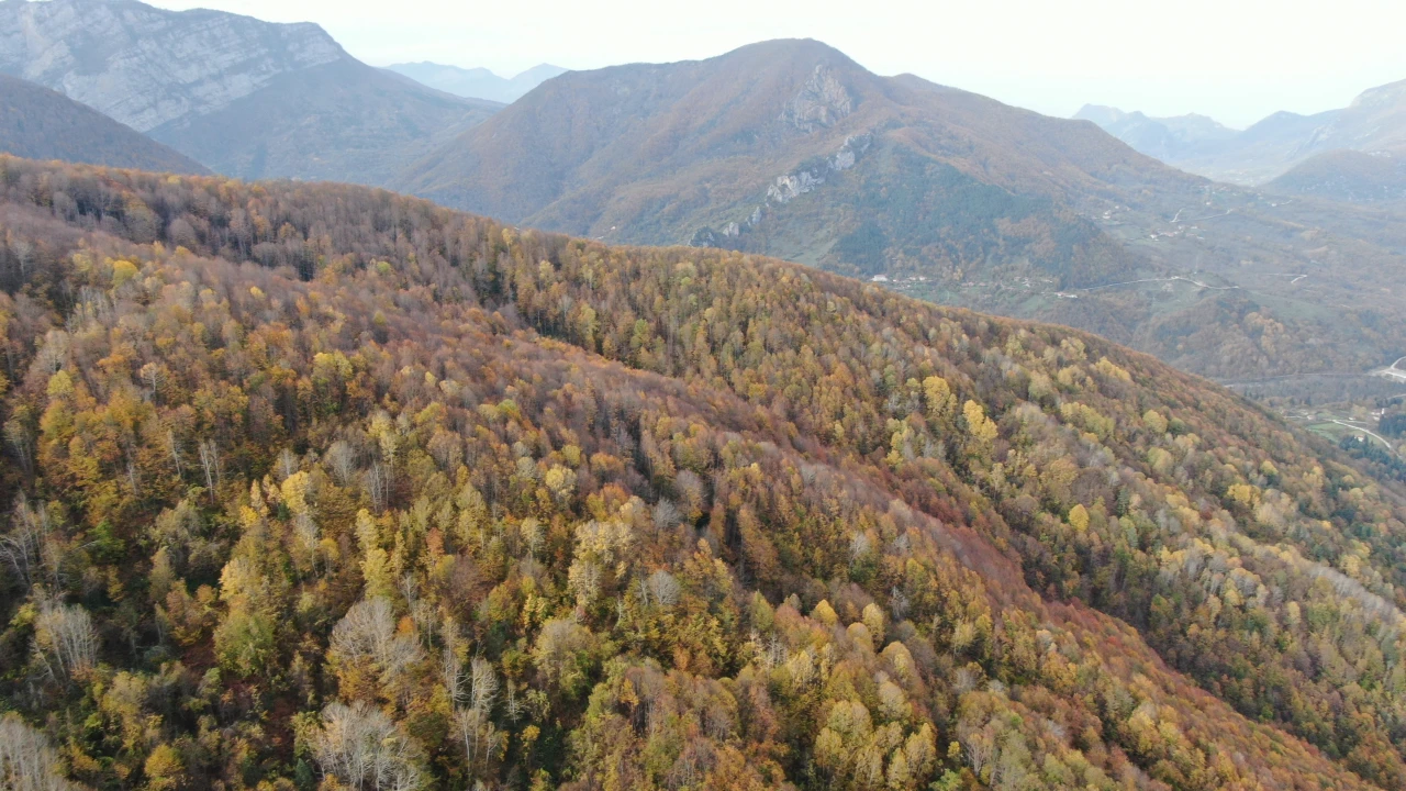 Renk Cümbüşü Yaşanıyor