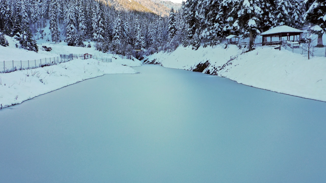 Deresökü Orman Parkı'nda Görsel Şölen Oluştu