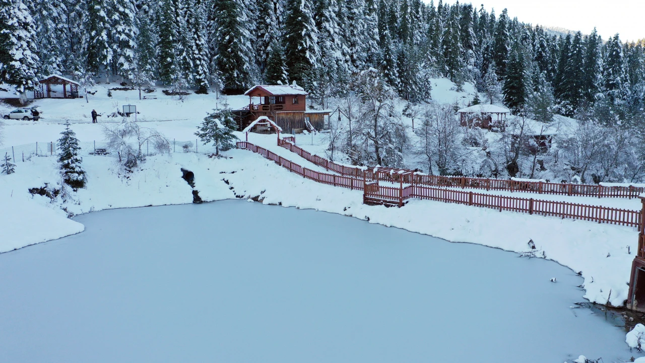 Deresökü Orman Parkı'nda Görsel Şölen Oluştu