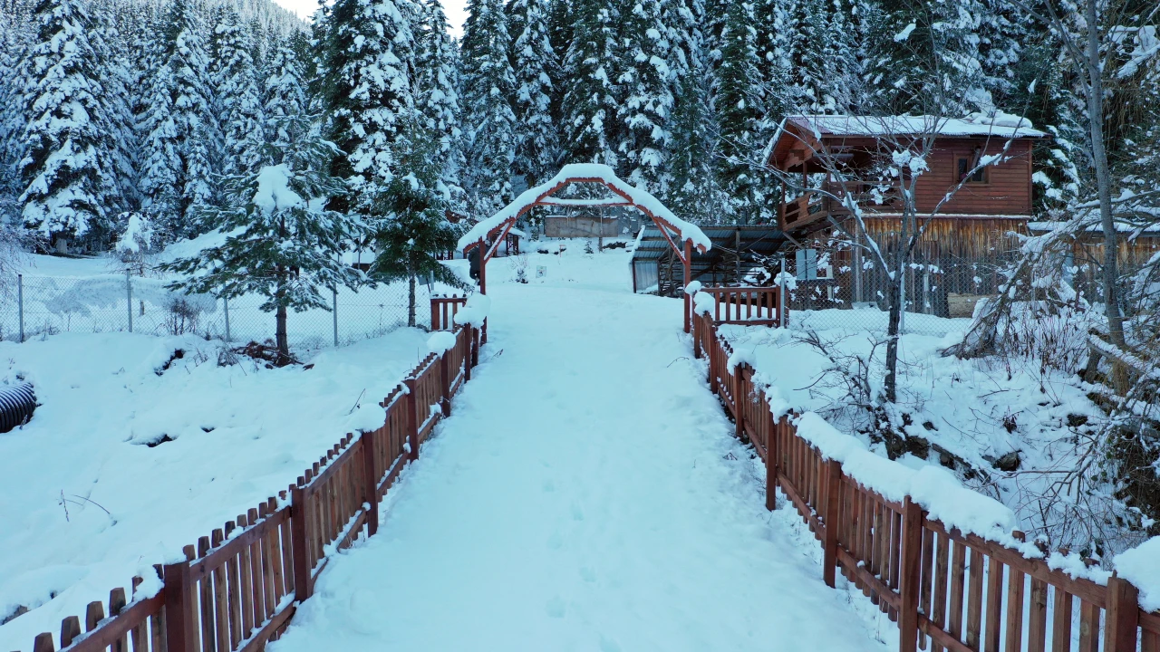 Deresökü Orman Parkı'nda Görsel Şölen Oluştu