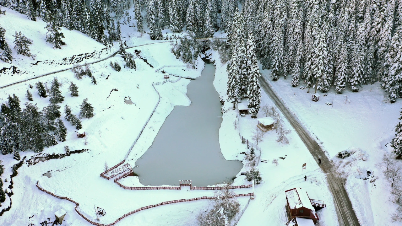 Deresökü Orman Parkı'nda Görsel Şölen Oluştu