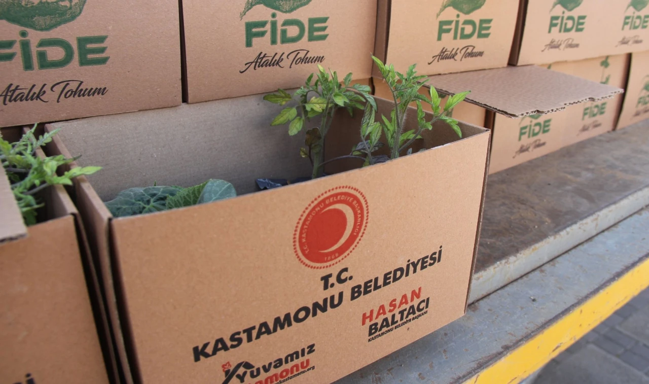 Ata Tohumu Fideler Dağıtıldı