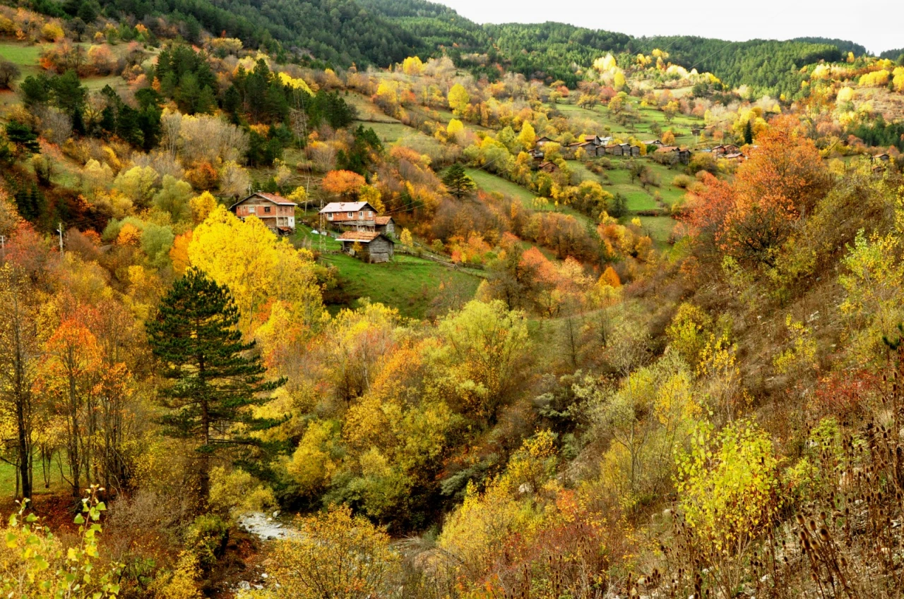 Ormanlar Sonbahar Renklerine Büründü