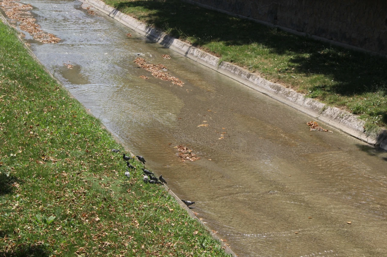 Güvercinlerden Çay Molası