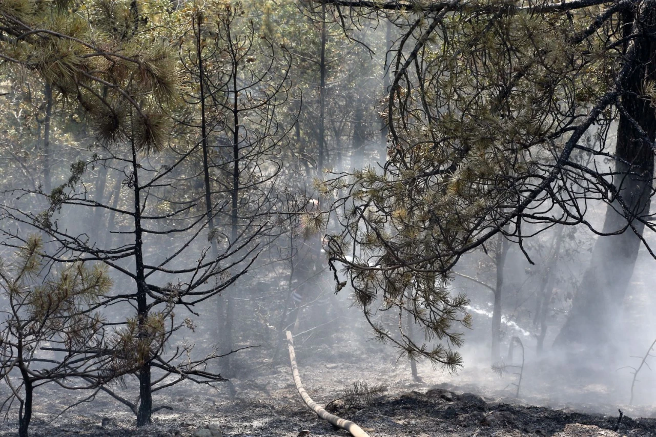 Kastamonu'dan Yangın Bölgesi Destek!