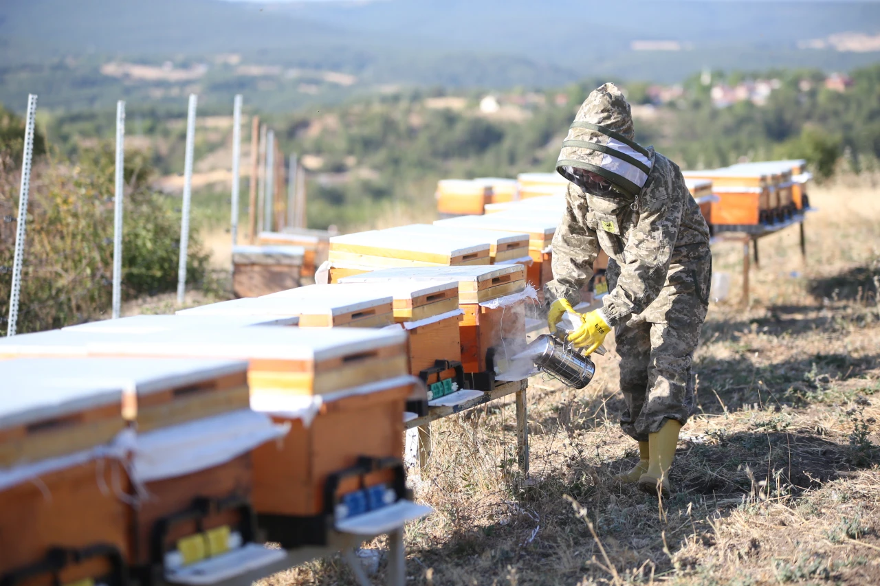 Arıları İçin 900 Kilometre Yol Kat Ediyor