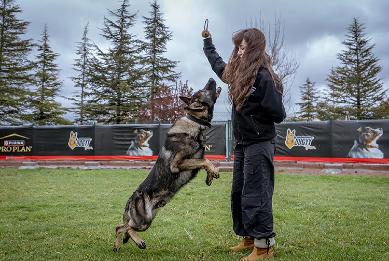 Köpekler İlk Kez 'Su Kaçakları' İçin Eğitiliyor