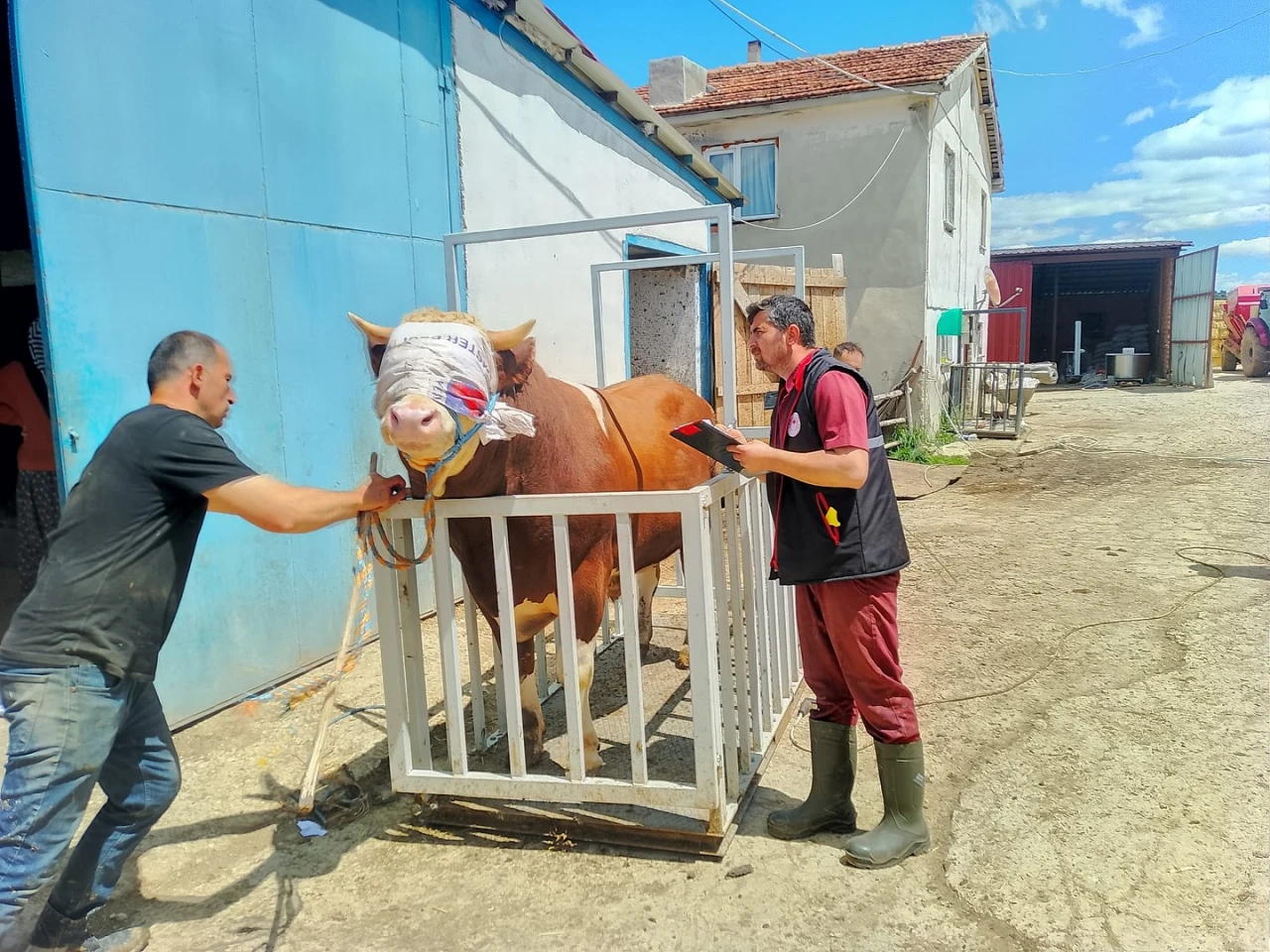 Kastamonu'dan Sevkler Başladı