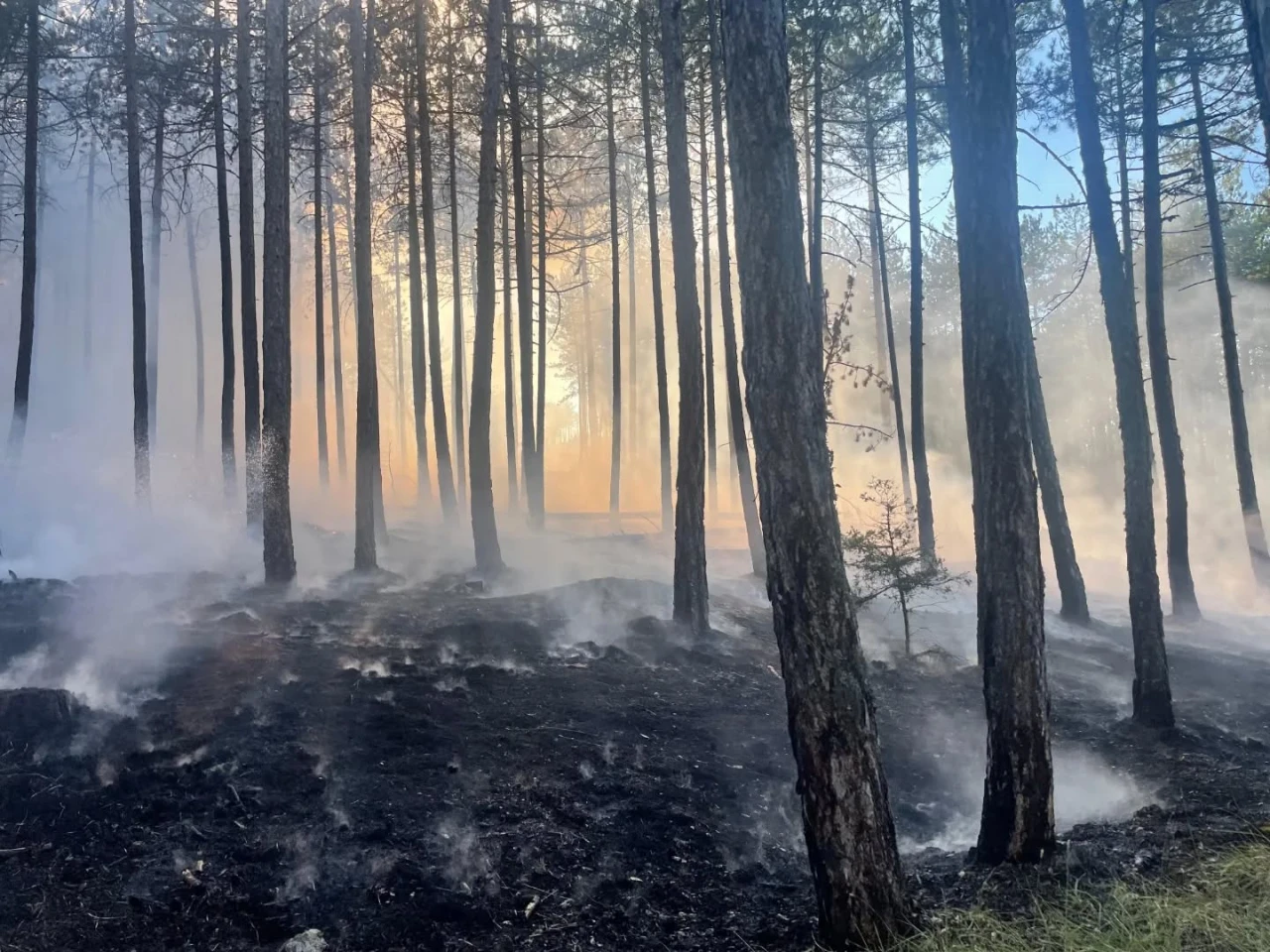 Hanönü'nde Orman Yangını!