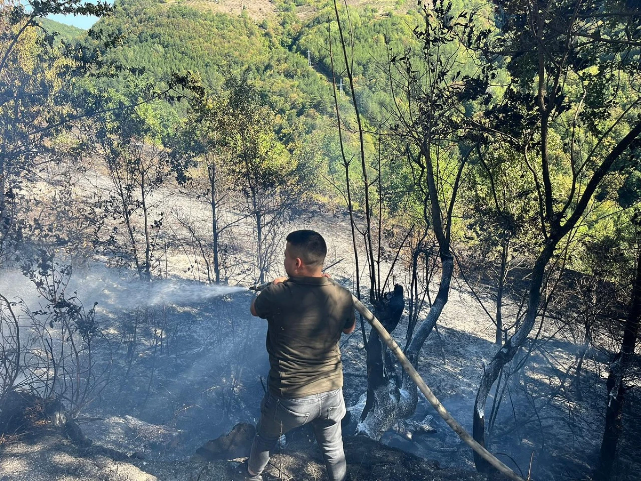 Doğanyurt'ta Dumanlar Yükseldi!