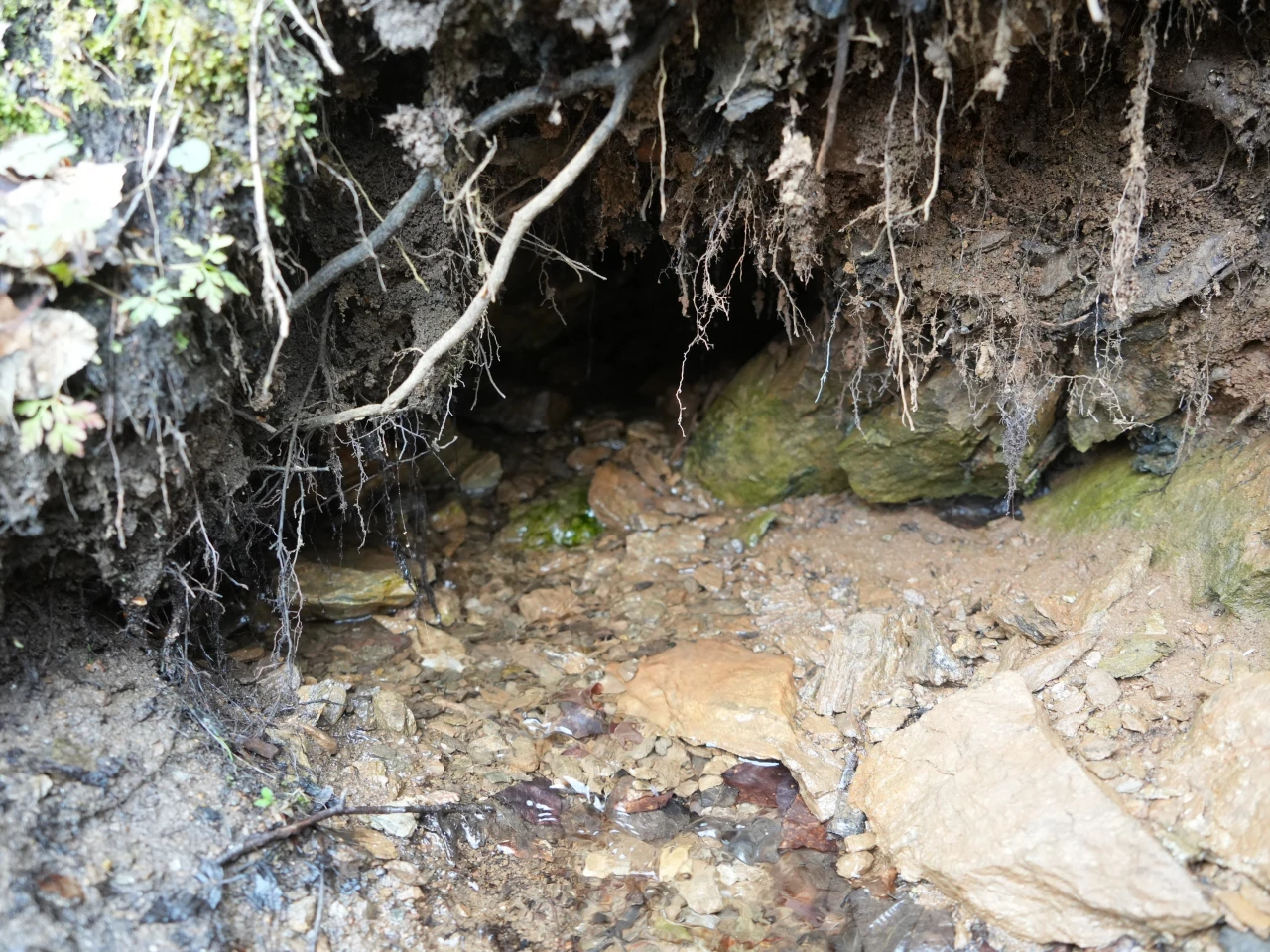 Herkes Bu Sudan Şifa Arıyor: Niyet Kabul Edilirse Su Geliyor