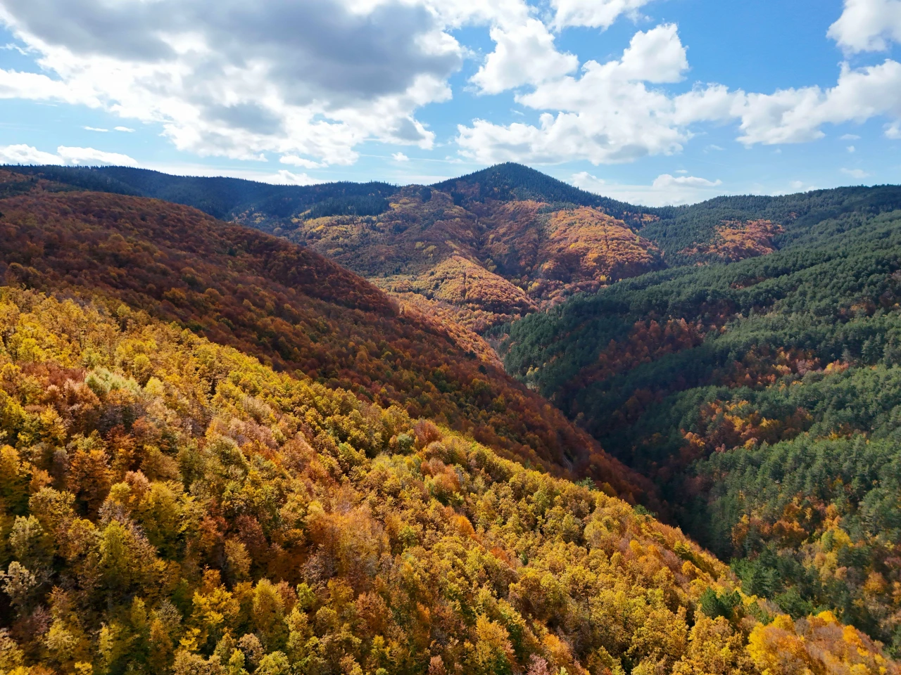 Kastamonu'da Sonbaharla Birlikte Renk Cümbüşü