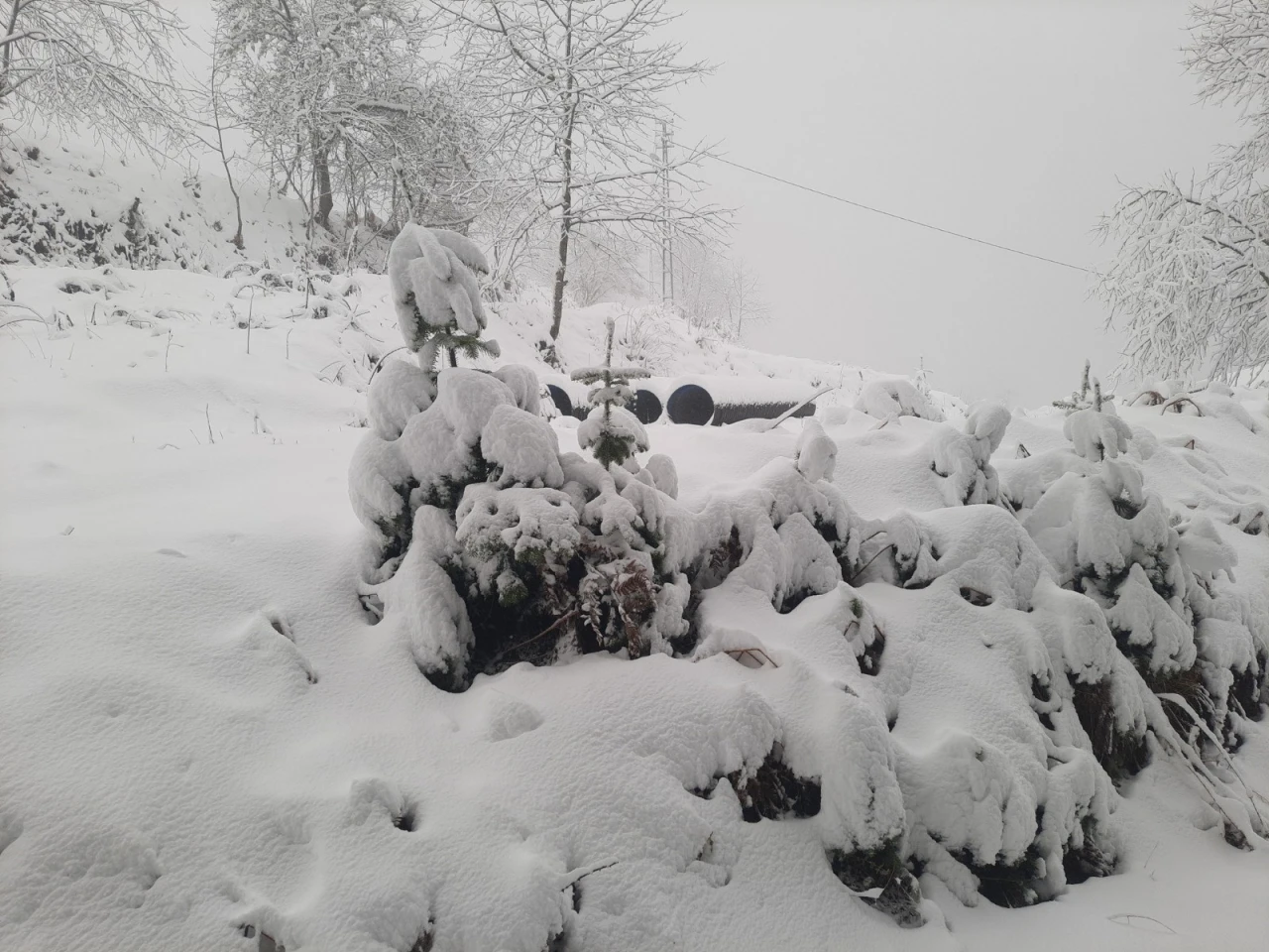 Kar Kalınlığı 20 Santime Ulaştı!