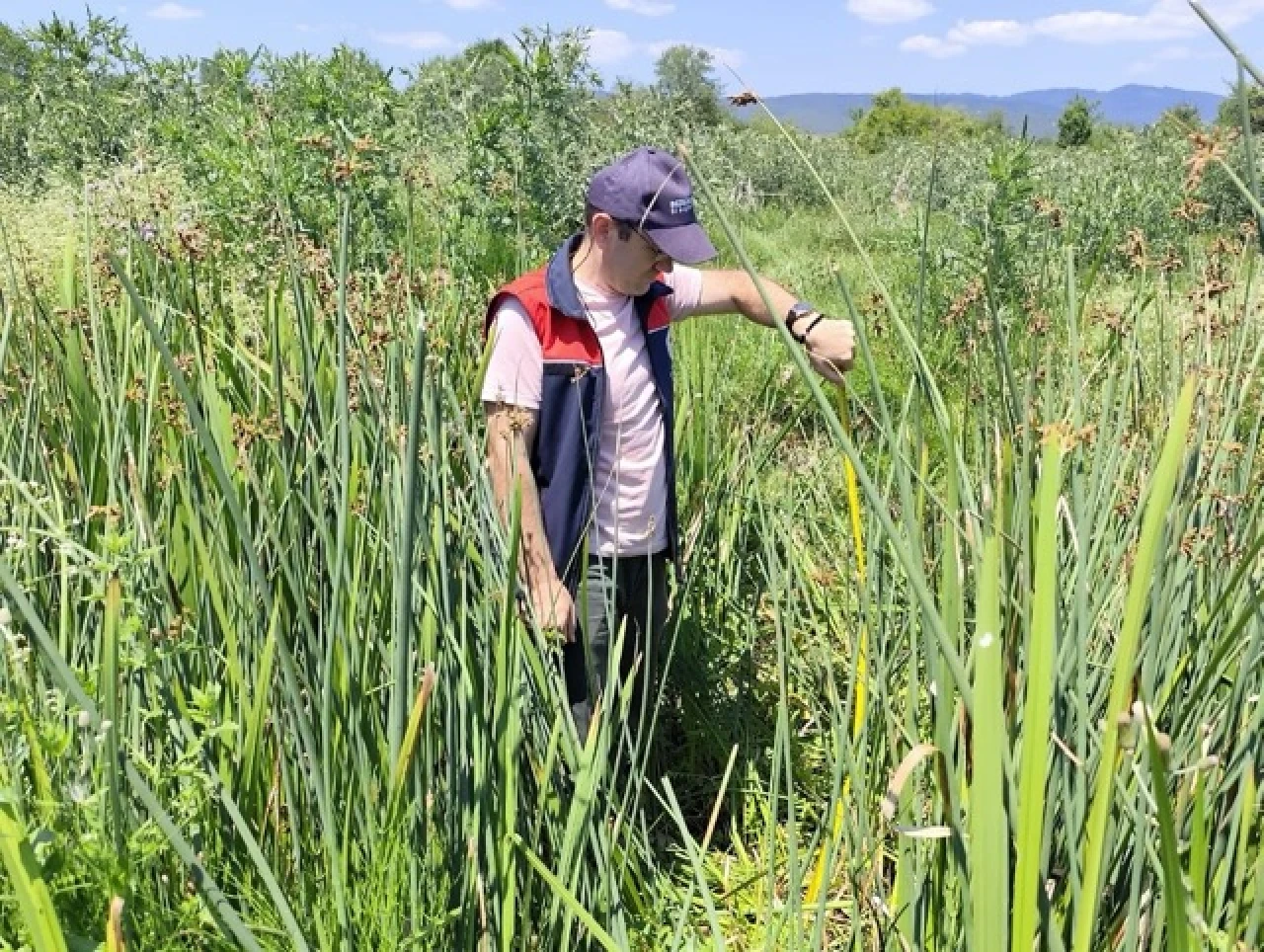 Mera Islah Çalışmaları Devam Ediyor
