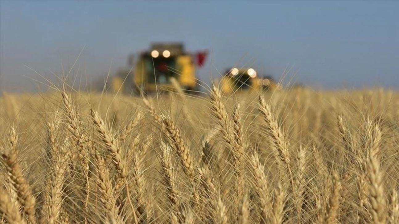 Türkiye, AARINEA Dönem Başkanlığına Seçildi