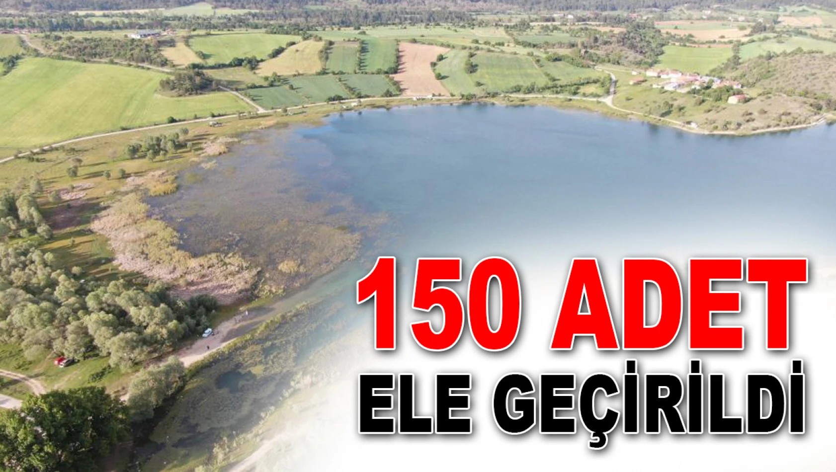 150 Adet Ele Geçirildi