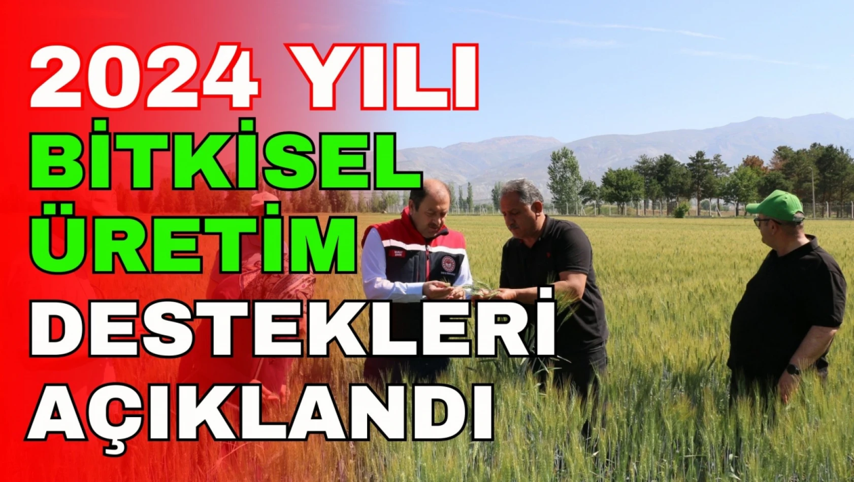 2024 Yılı Bitkisel Üretim Destekleri Açıklandı