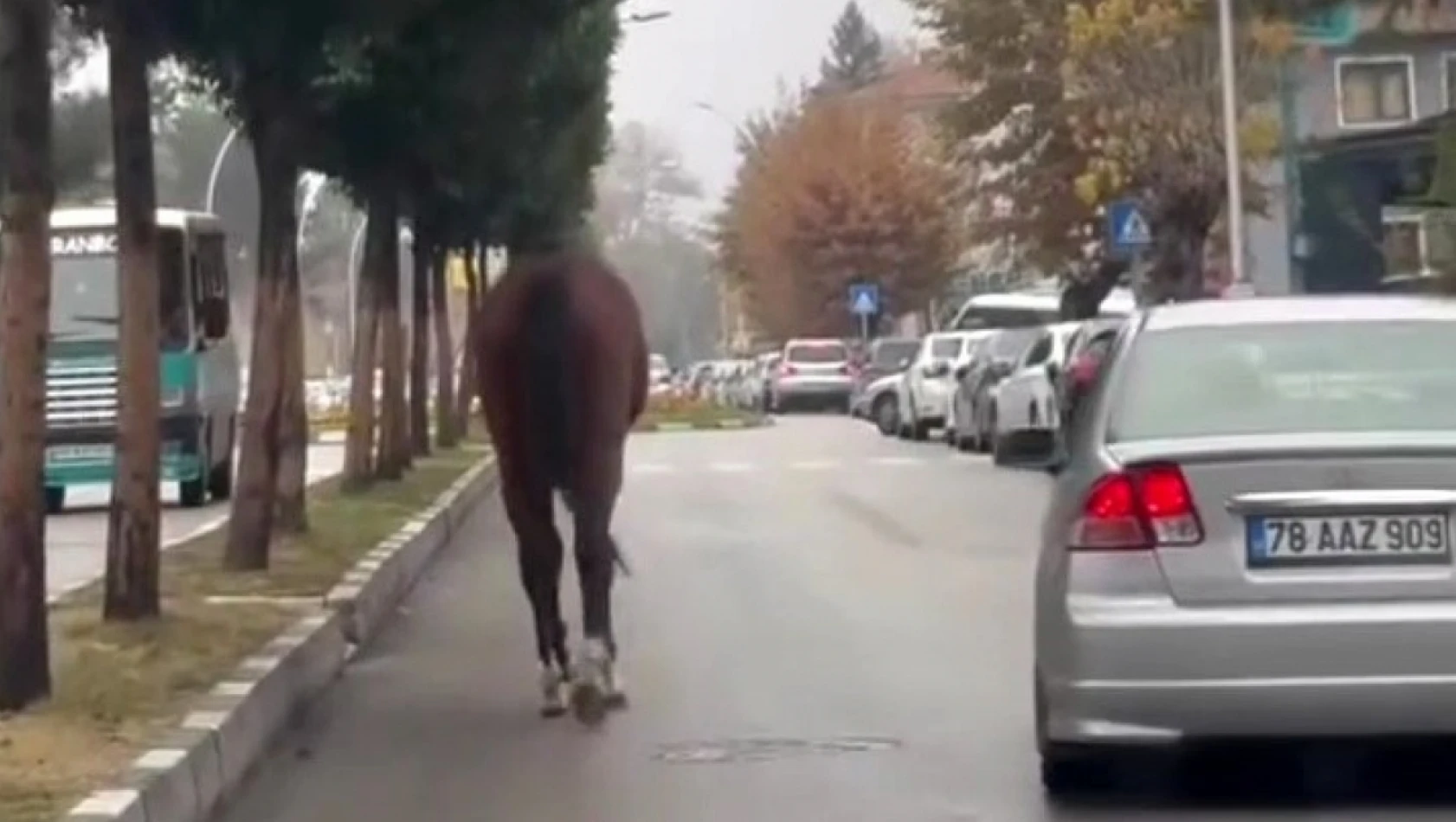 Caddede Koşan At Trafiği Tehlikeye Attı