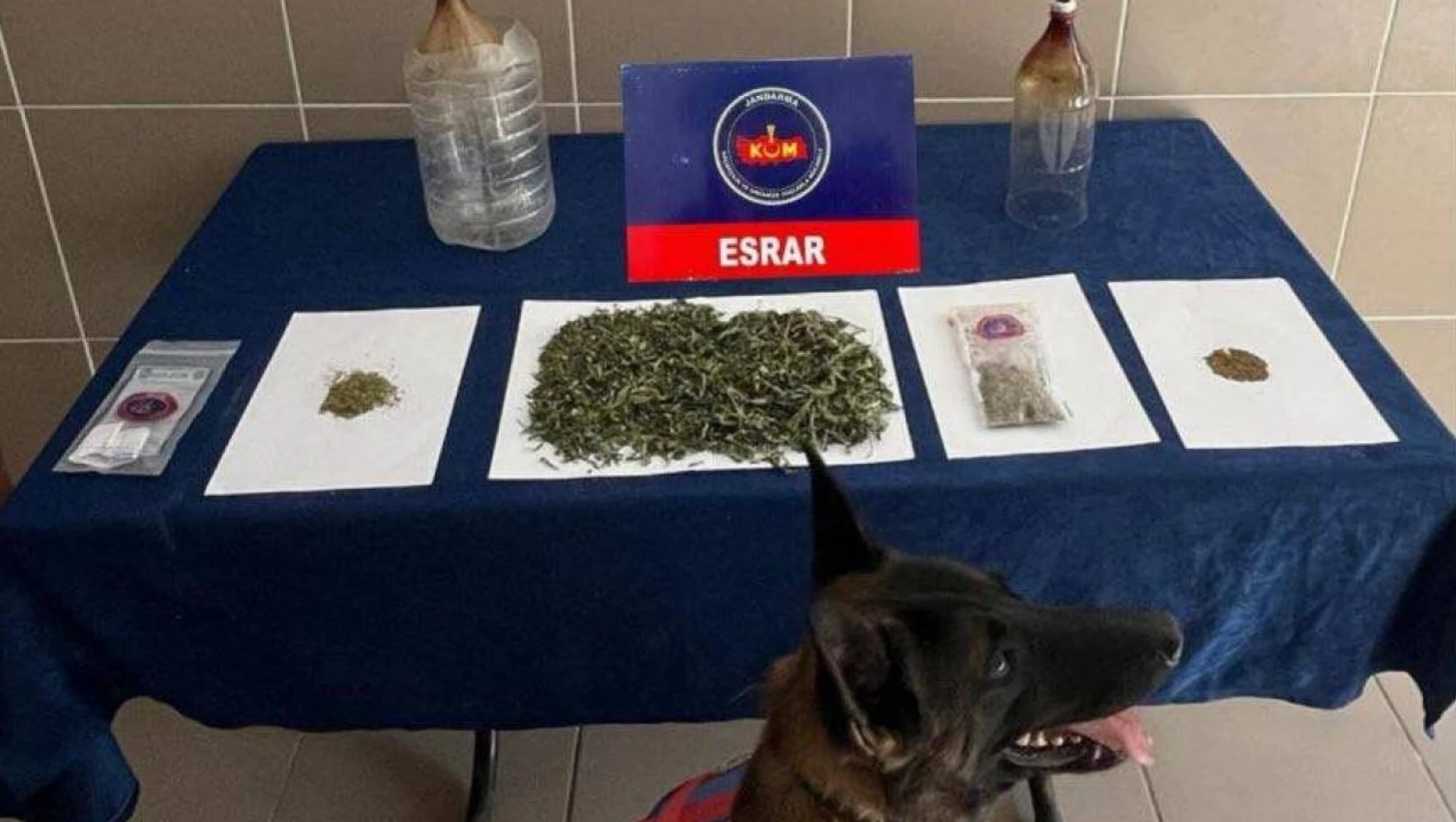 Çankırı'da Aranan 114 Şahıs Yakalandı