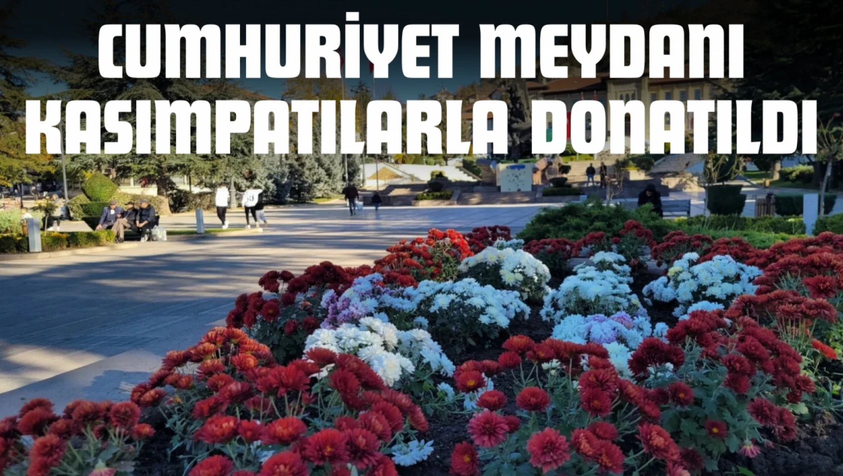 Cumhuriyet Meydanı Kasımpatılarla Donatıldı