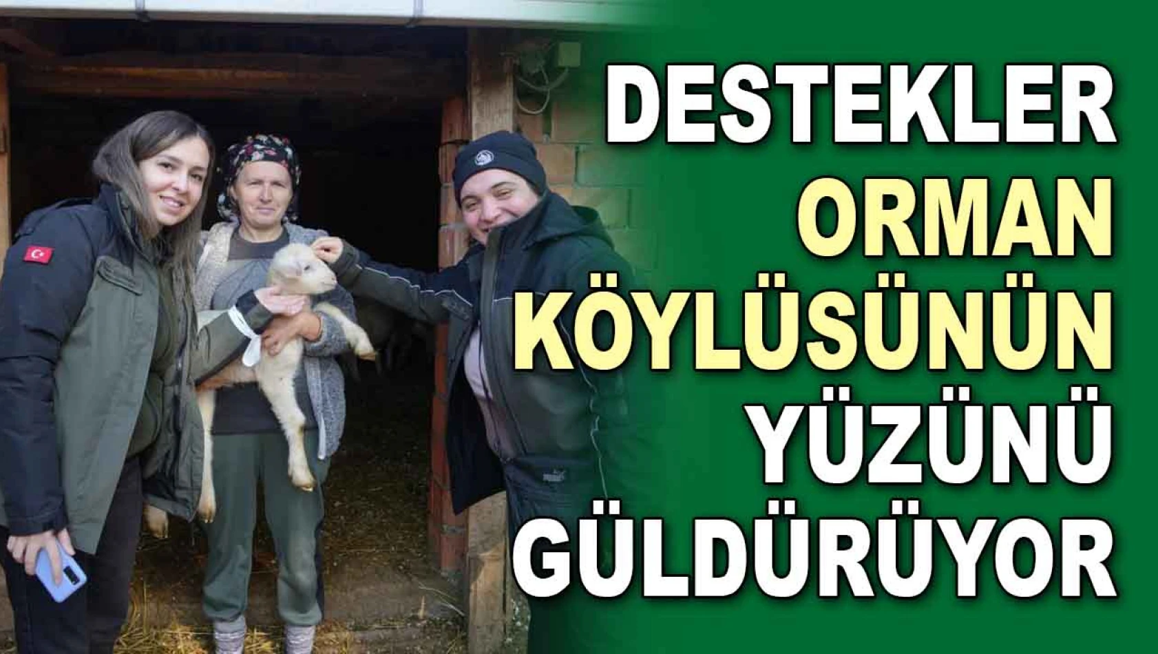 Destekler Orman Köylüsünün Yüzünü Güldürüyor