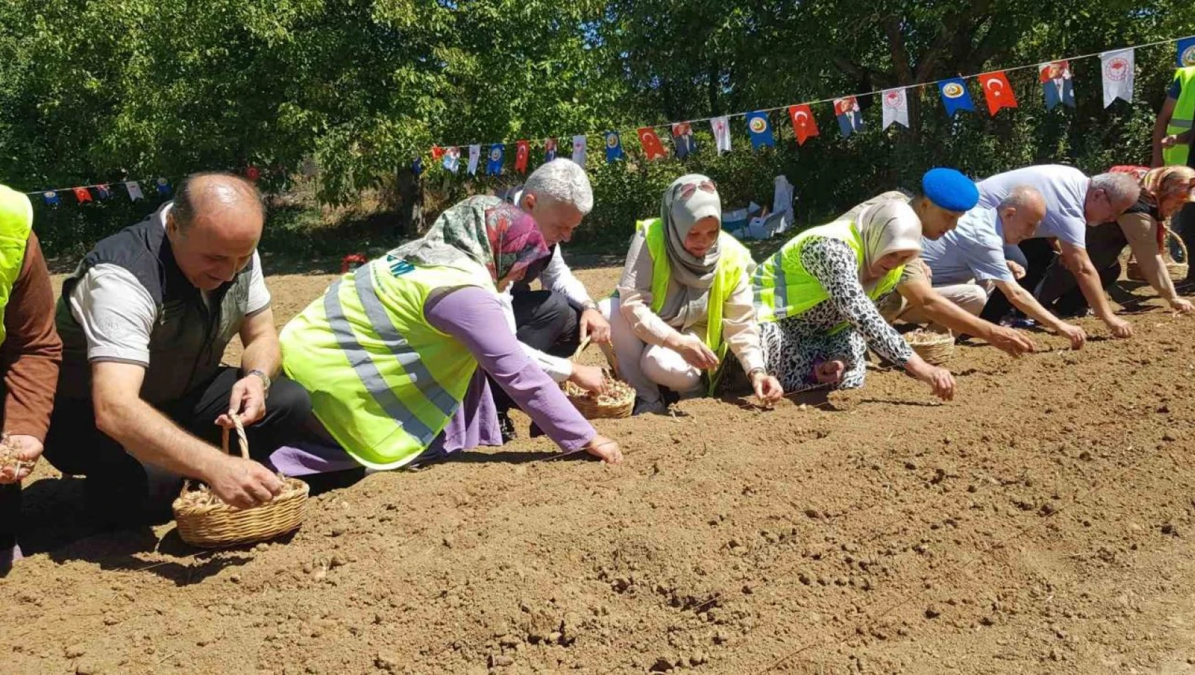 Dünyanın En Pahalı Baharatı Safranın Üretimine ORKÖY'den Destek