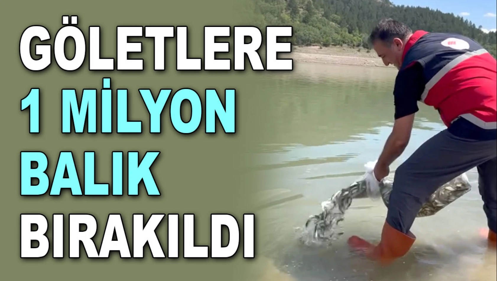 Göletlere 1 Milyon Balık Bırakıldı