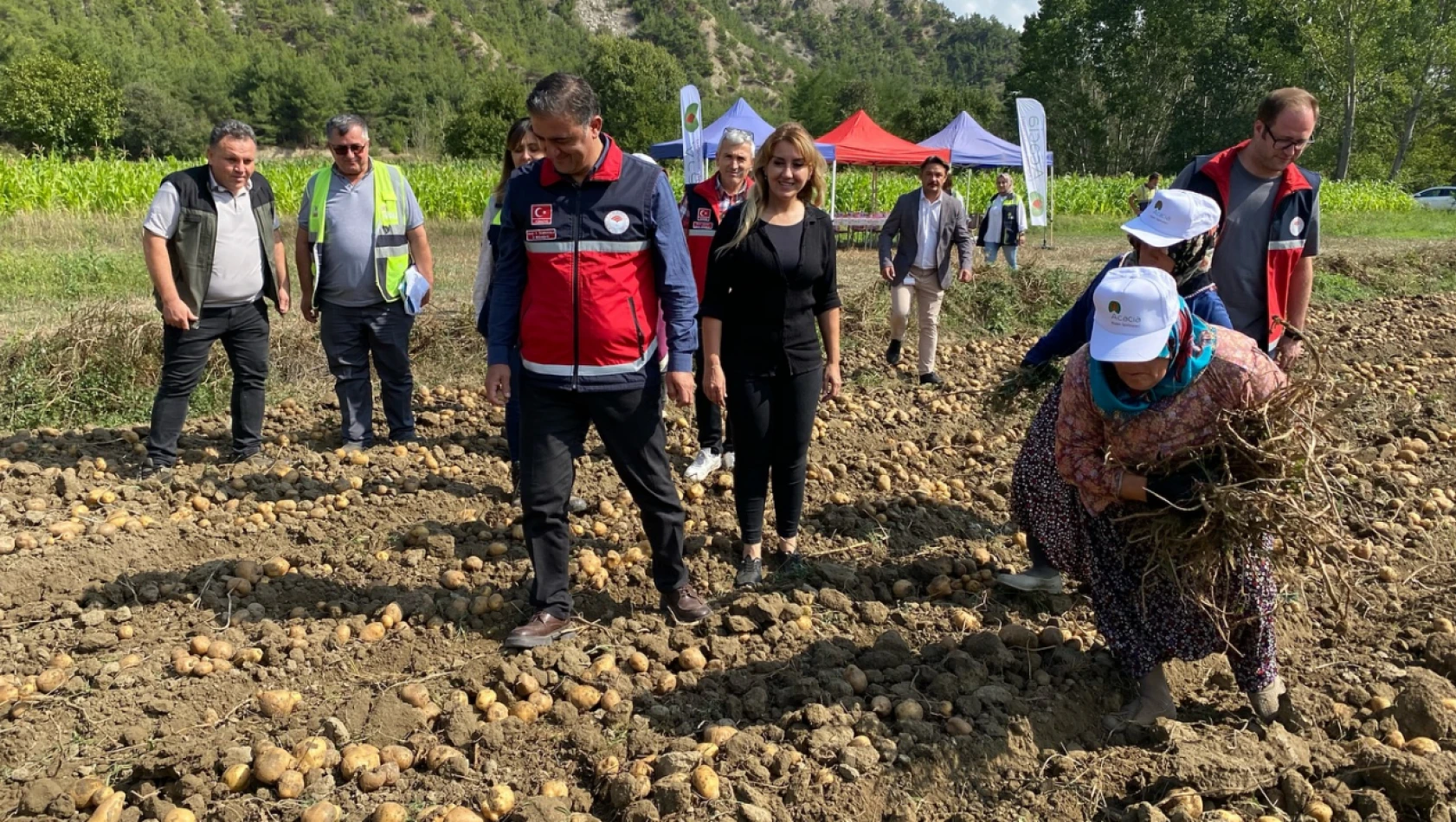 Hanönü'de İlk Patates Hasadı Yapıldı