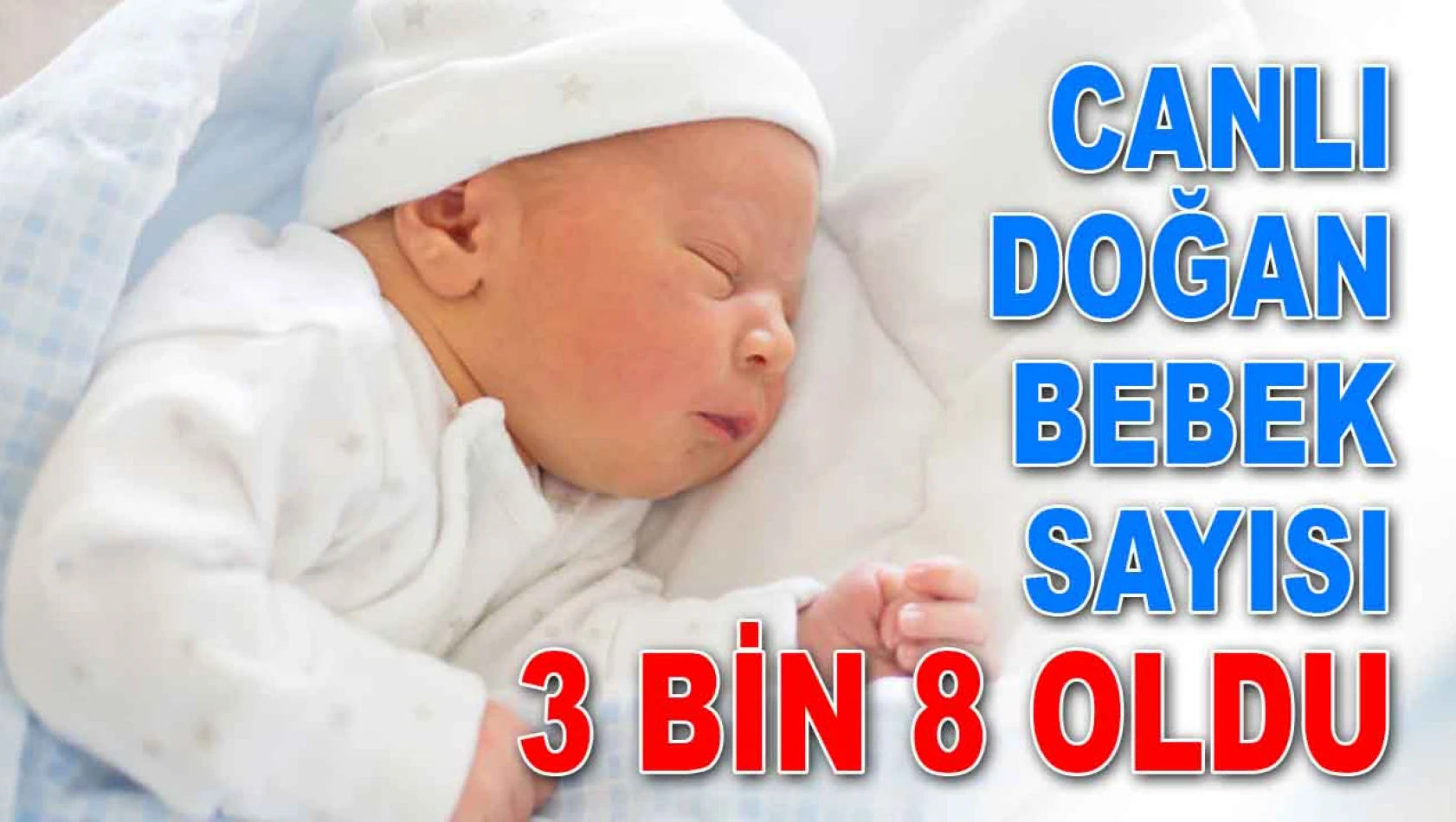 Kastamonu'da Canlı Doğan Bebek Sayısı 3 Bin 8 Oldu