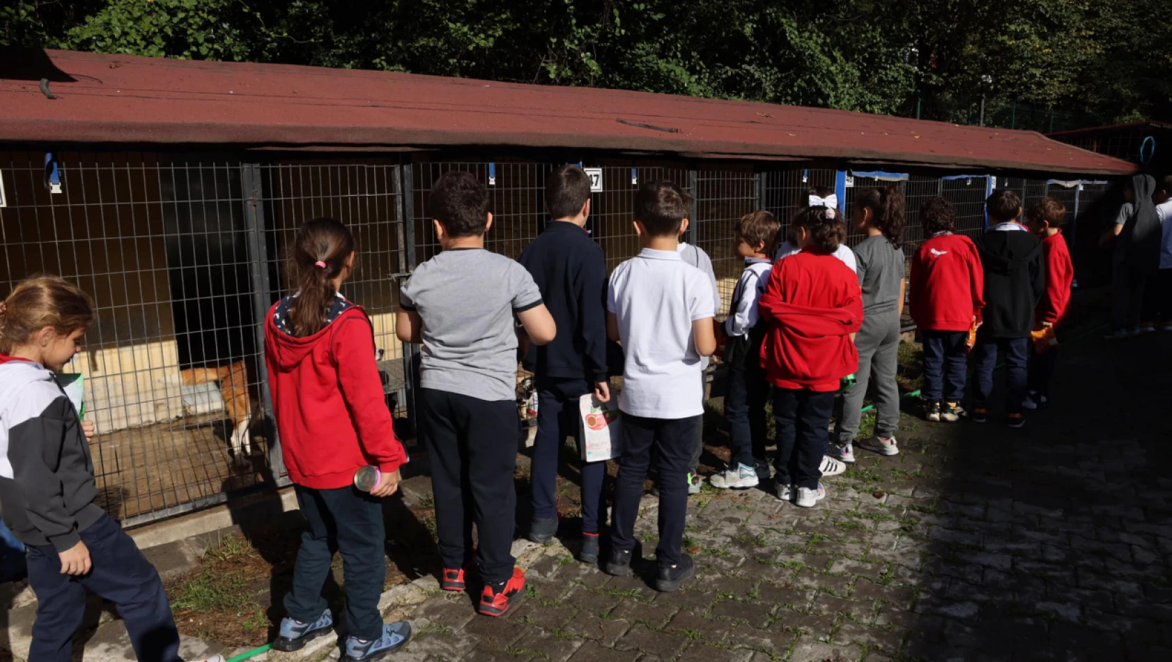 Kendileri Küçük Yürekleri Büyük Çocuklar