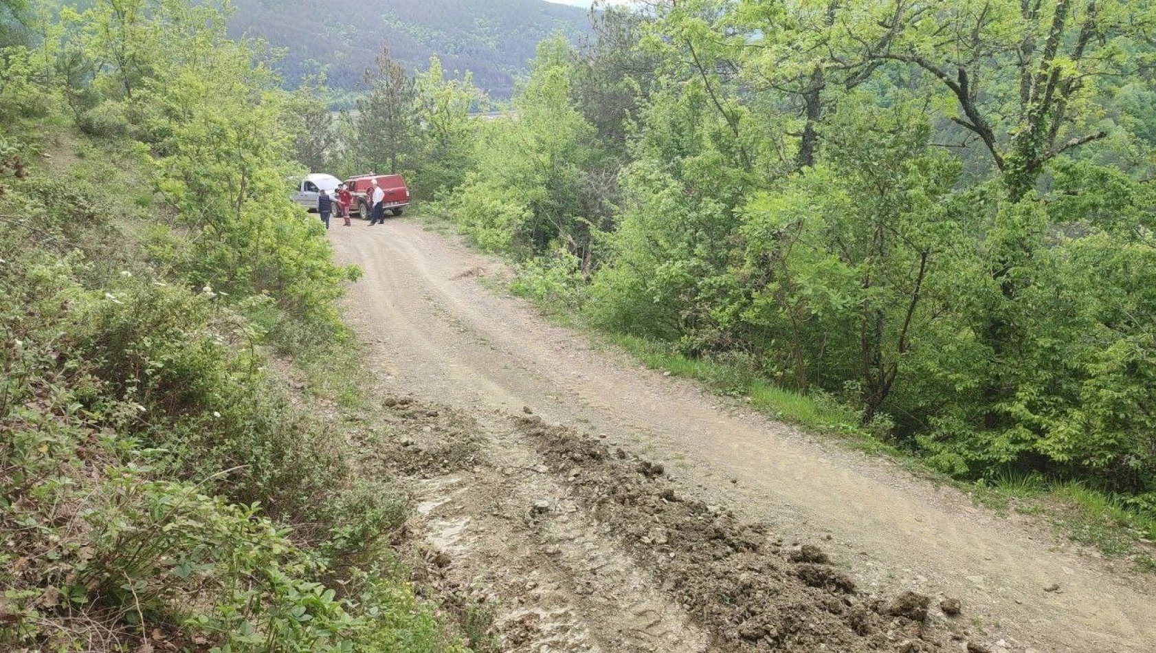 Ormanda Feci Kaza: 1 Yaralı