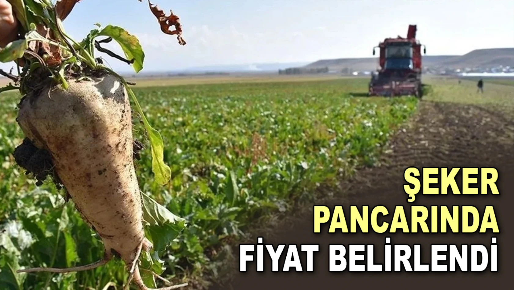 Şeker Pancarında Fiyat Belirlendi