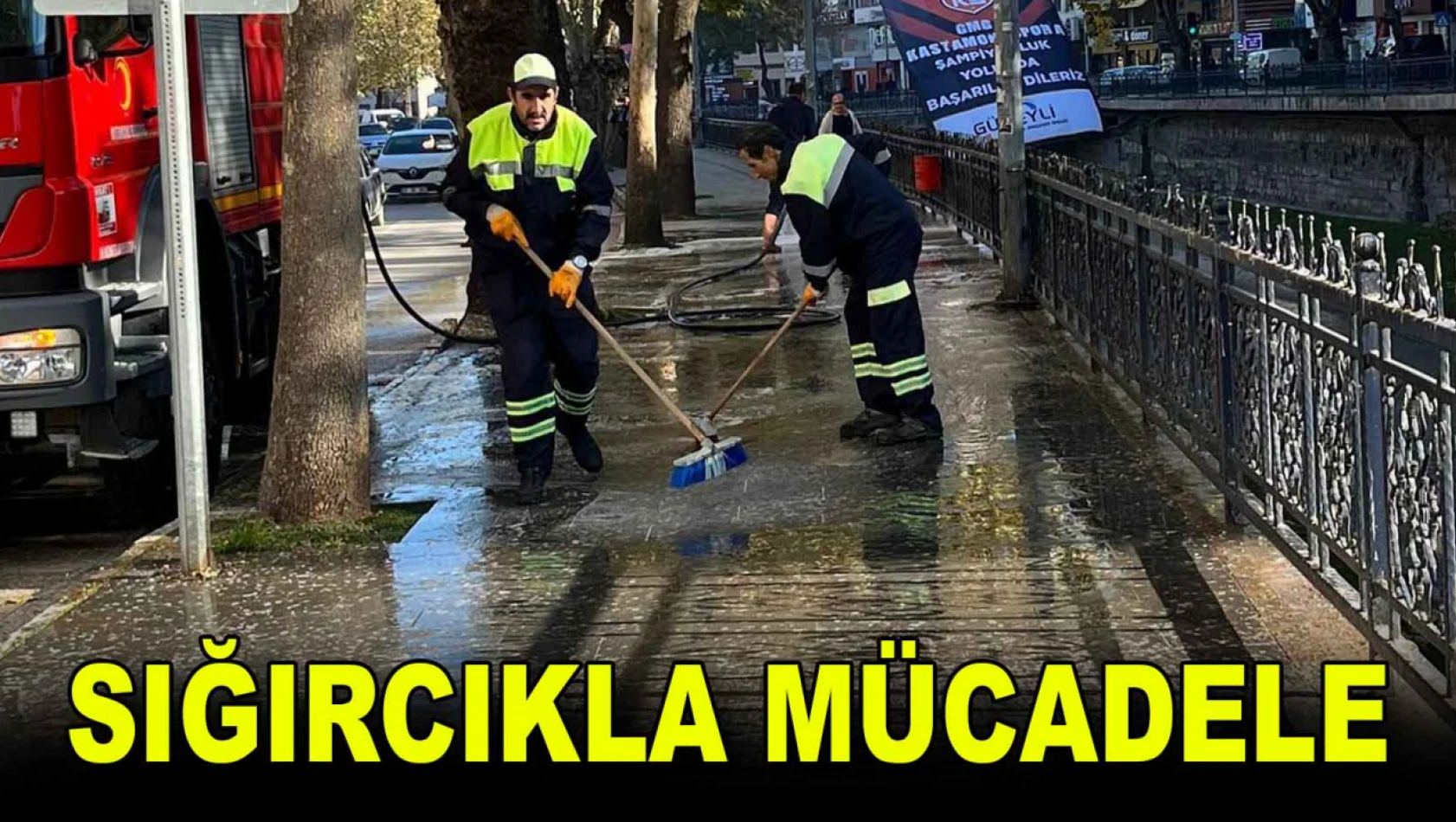 Sığırcıkla Mücadele