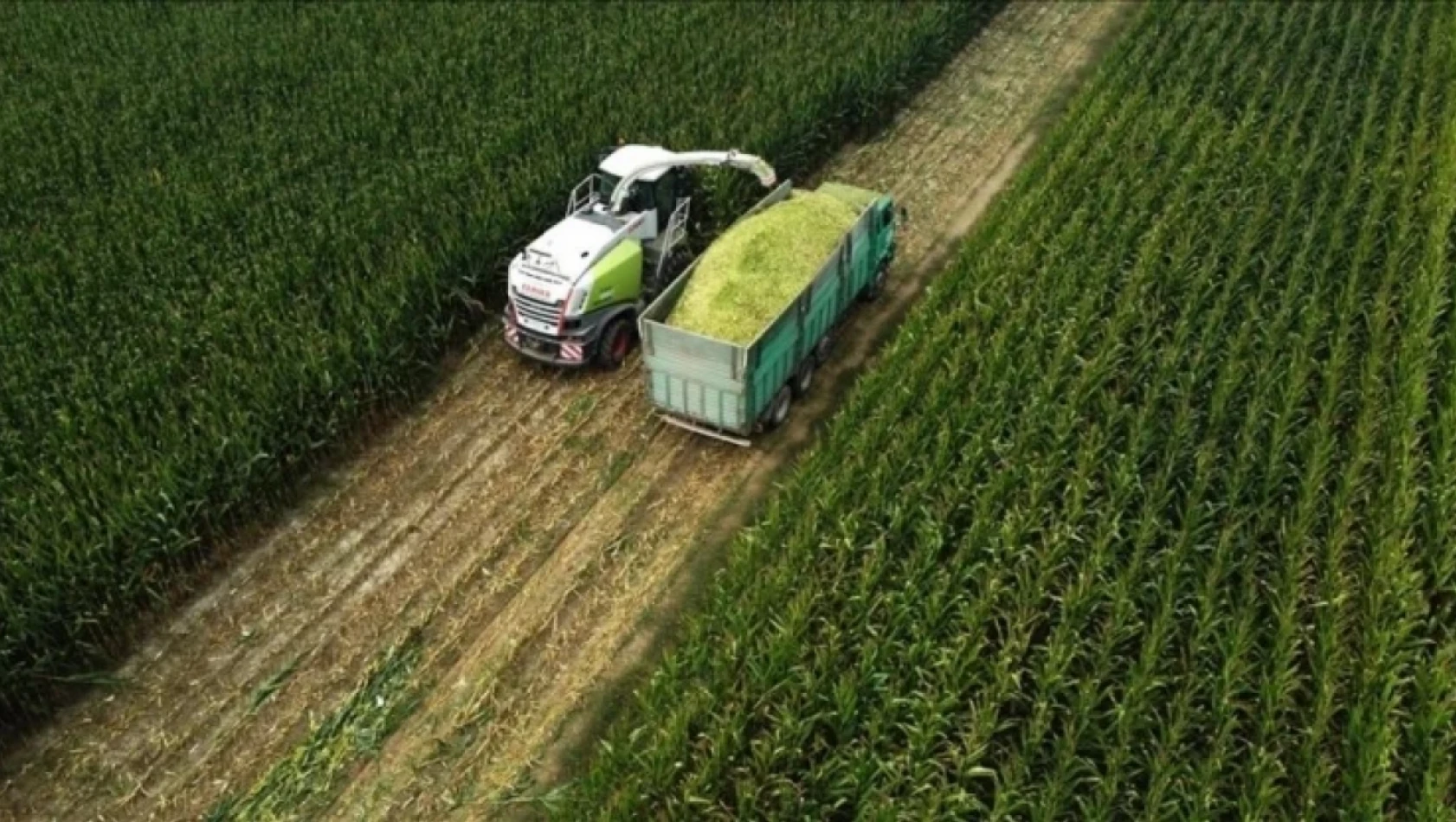 Tarım-ÜFE Yüzde 1,56 Azaldı