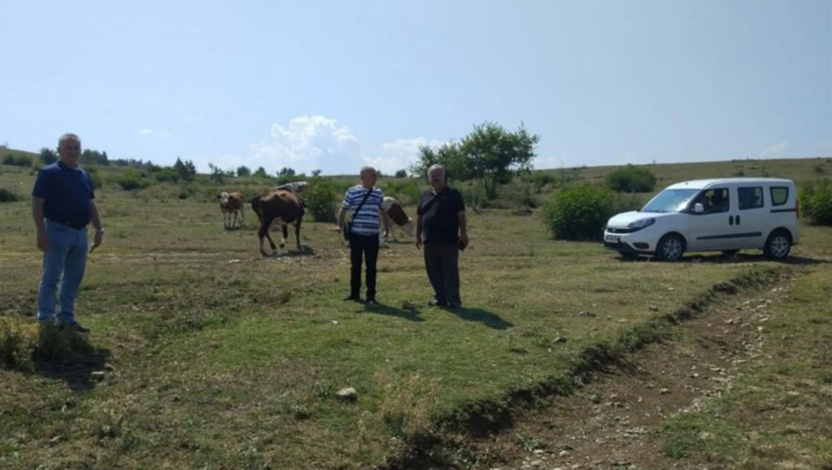 Yapay Çayır Mera ekiliş alanları incelendi