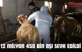 12 Milyon 450 Bin Aşı Sevk Edildi