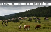 33 Yayla, Korunan Alan İlan Edilecek